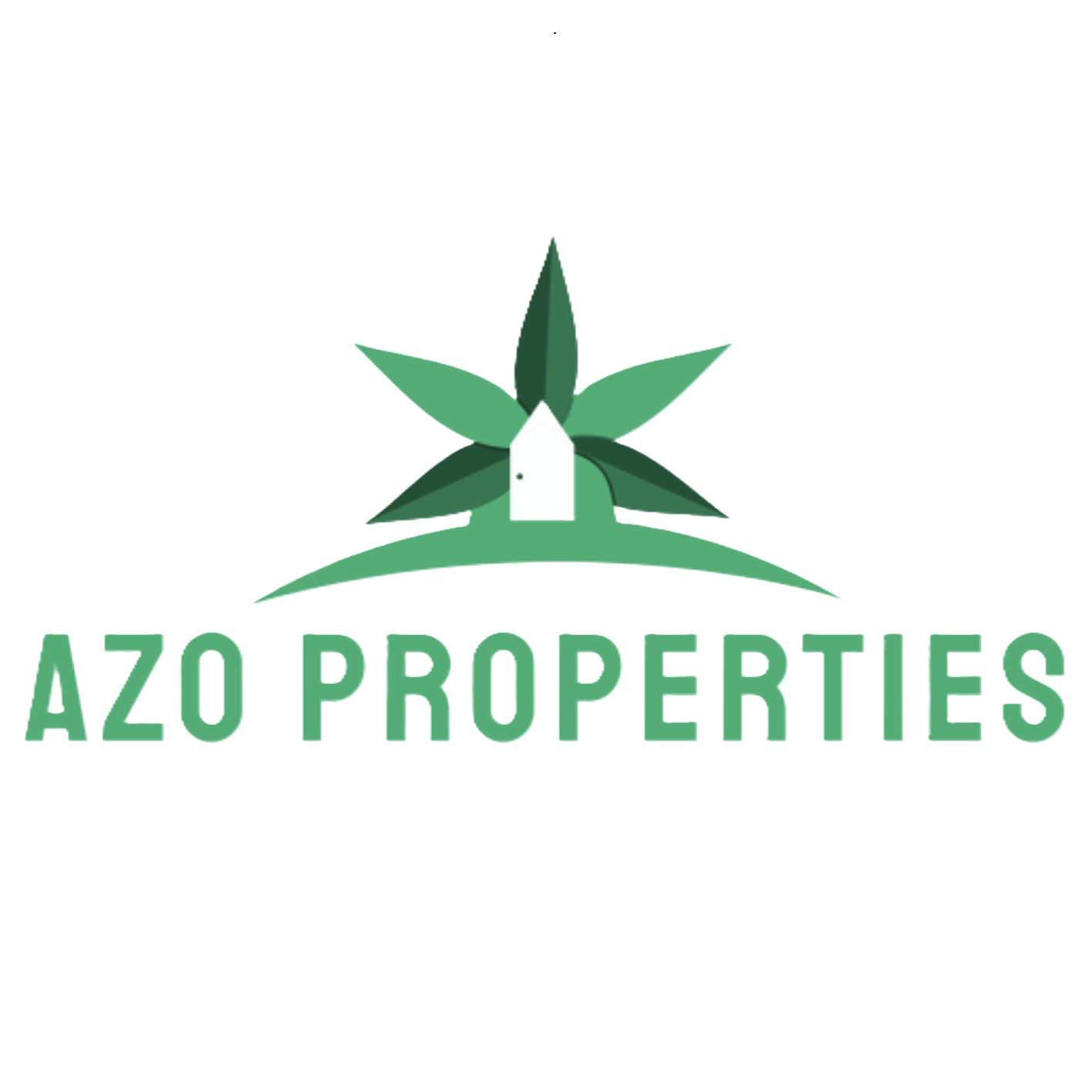 AZO Properties LLC